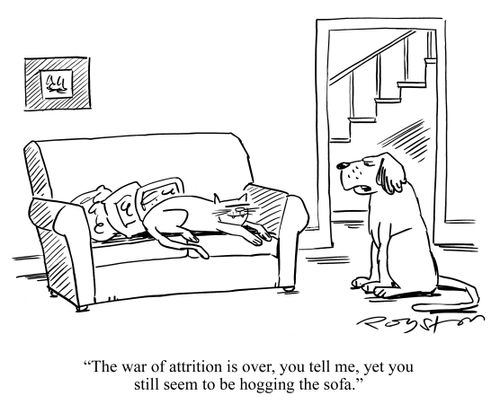 Dog says to cat: 'The war of attrition is over, you tell me, yet you still seem to be hogging the sofa.'