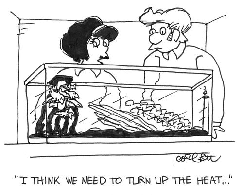 Need to turn up heat(fish crowd heater in aquirium).