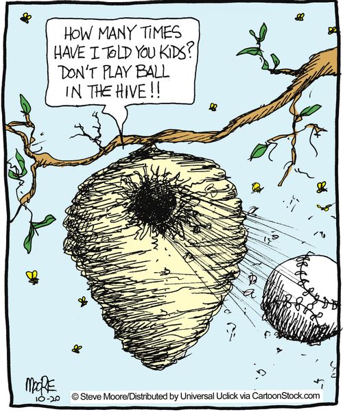 'How many times have I told you kids? Don't play ball in the hive!!'