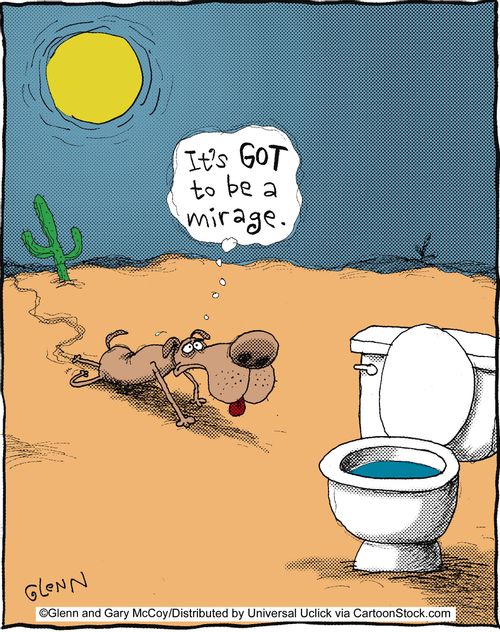 'It's got to be a mirage.'