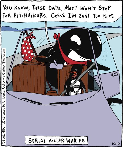 Serial Killer Whales.