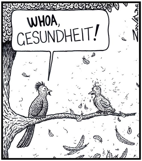 Bird: 'WHOA, Gesundheit!' 