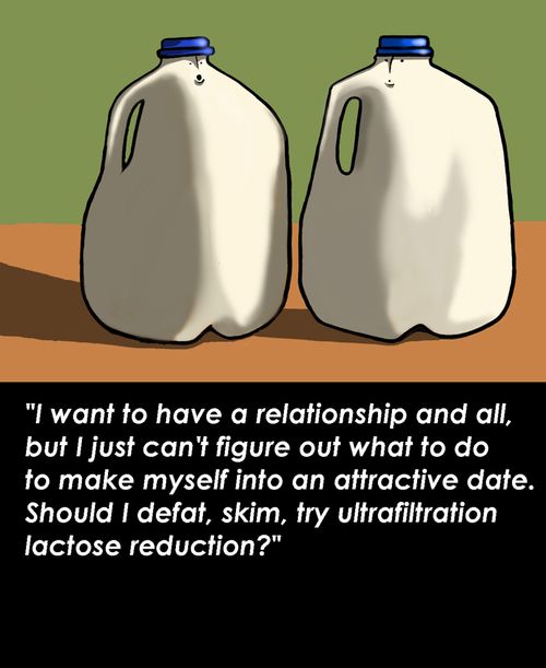 "I want to have a relationship, but can't figure out what to do to make myself an attractive date. Should I defat, skim, try ultrafiltration lactose reduction?"