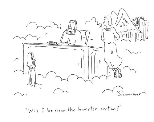 'Will I be near the hamster section?'
