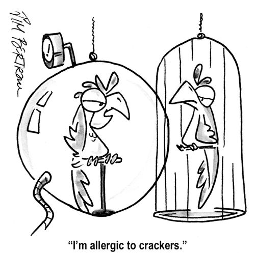 "i'm allergic to crackers."