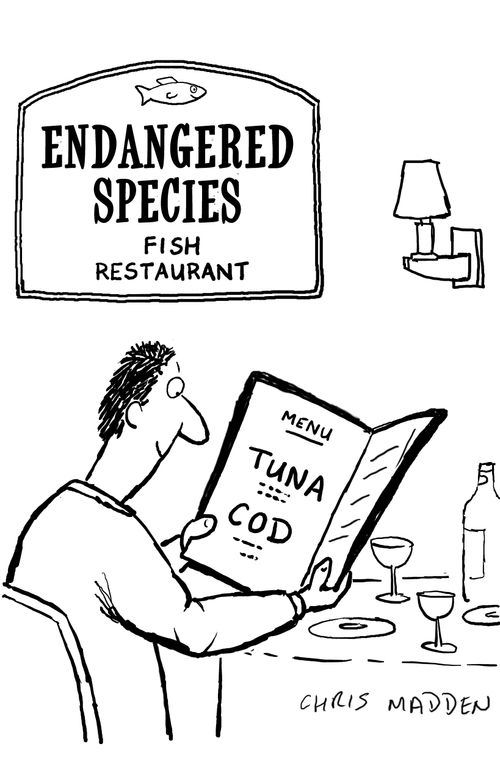 Endangered species fish restaurant