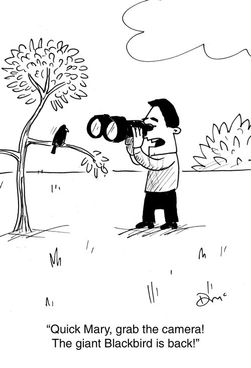 'Quick Mary, grab the camera! The giant Blackbird is back.'