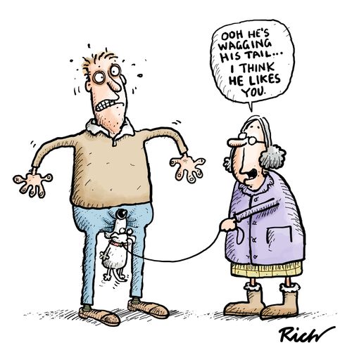 'Ooh he's wagging his tail...I think he likes you.'