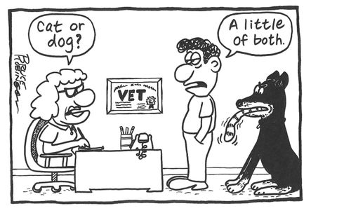 'Cat or dog?' - 'A little of both.'