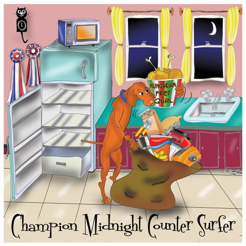 Champion Midnight Counter Surfer
