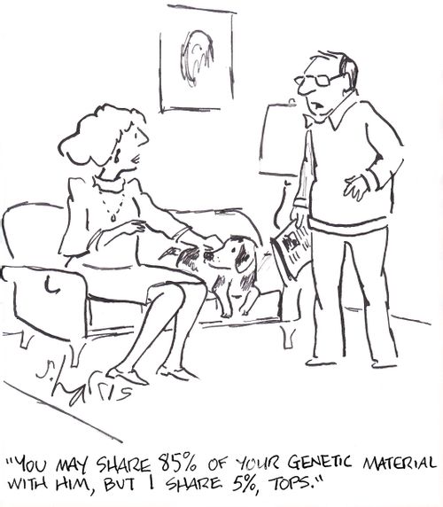 'You may share 85% of your genetic material with him, but I share 5% tops.'