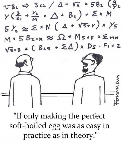 'If only making the perfect soft-boiled egg was as easy in practice as in theory.'