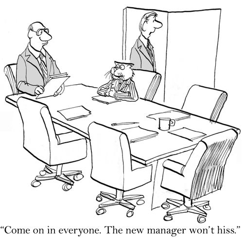 'Come on in everyone. The new manager won't hiss.'