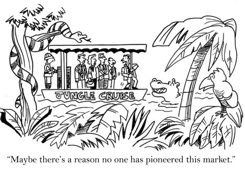 'Maybe there's a reason no one has pioneered this market.'