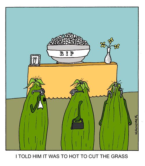 'I told him it was to hot to cut the grass.'