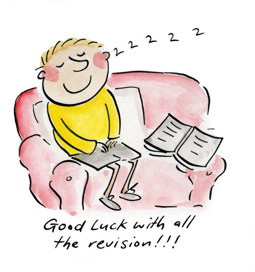 Good luck with all the revision!!!