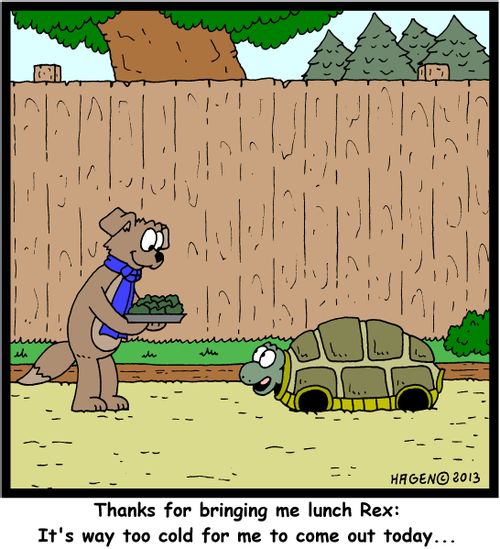 'Thanks for bringing me lunch Rex: It's way too cold for me to come out today...'