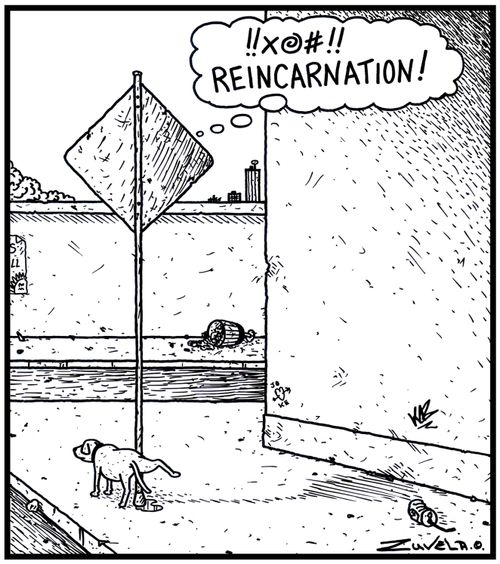 '!!X@#!! Reincarnation!'