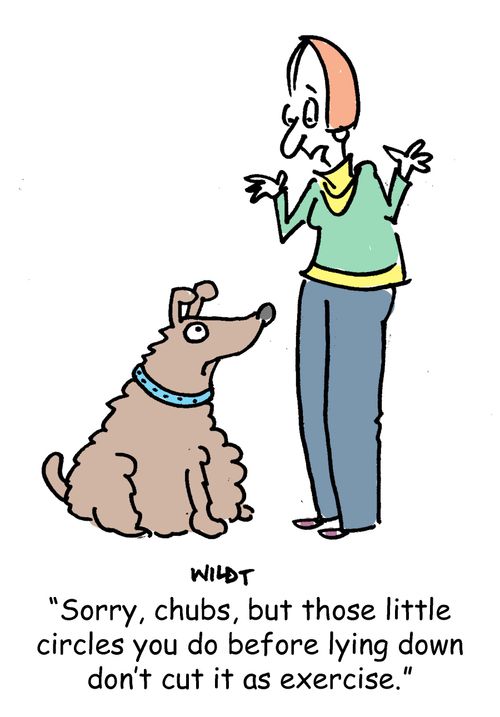 'Sorry, chubs, but those little circles you do before lying down don't cut it as exercise.'