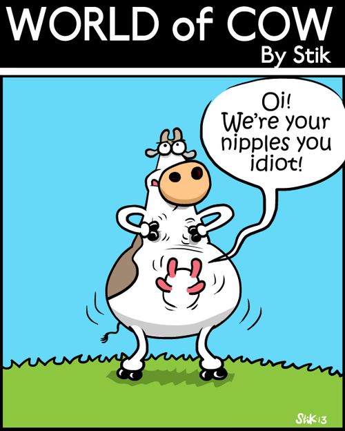 'Oi! We're your nipples you idiot!'