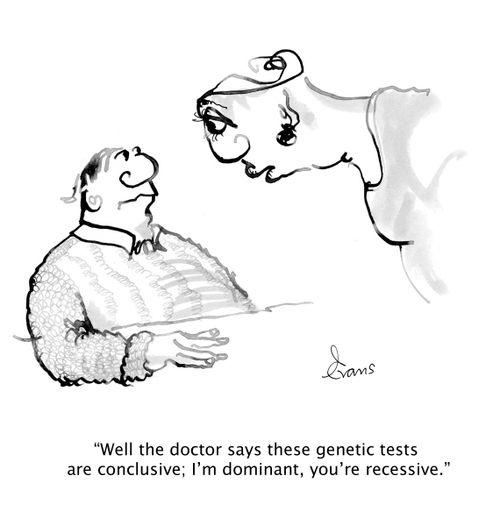'Well the doctor says these genetic tests are conclusive; I'm dominant, you're recessive.'