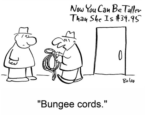 Now You can be Taller Than She is: 'Bungee cords.'