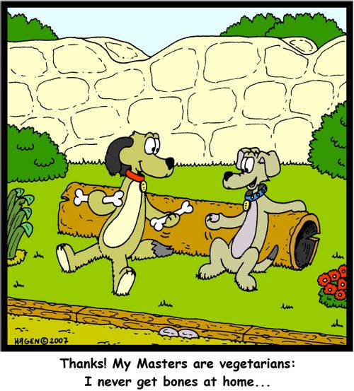 'Thanks! My Masters are vegetarians: I never get bones at home...'