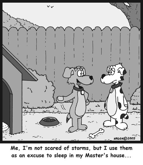 'Me, I'm not scared of storms, but I use them as an excuse to sleep in my Master's house...'