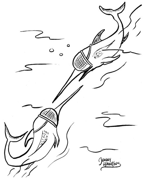 Swordfish having swordfight with fencing masks on.
