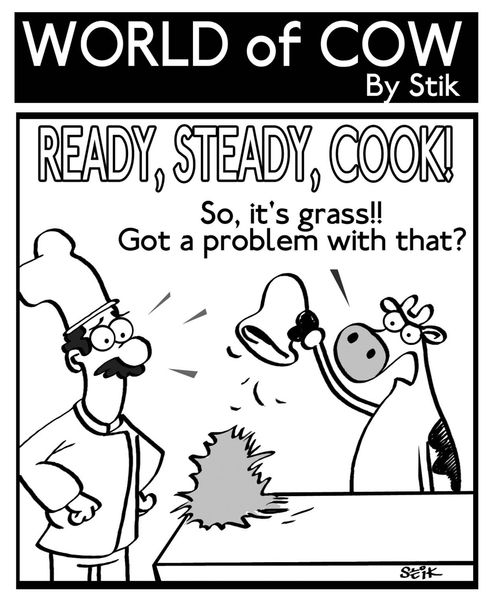 'Ready, Steady, Cook!', with a cow contestant.