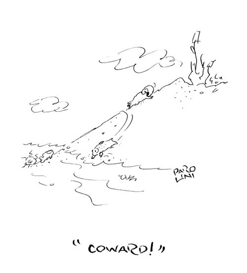 'Coward!'