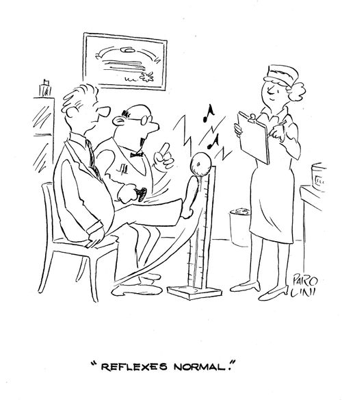 'Reflexes Normal.'