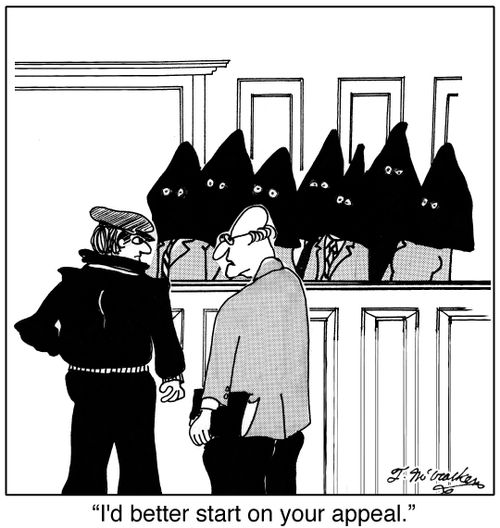 'I'd better start on your appeal.'