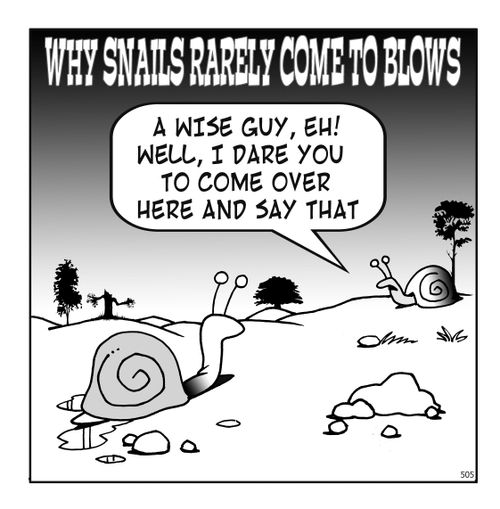 Why snails rarely come to blows - A wise guy, eh! Well, I dare you to come over here and say that.