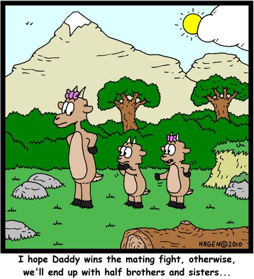 'I hope Daddy wins the mating fight, otherwise, we'll end up with half brothers and sisters...'