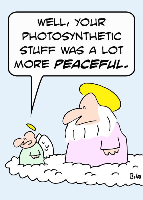 'Well, your photosynthetic stuff was a lot more peaceful.'