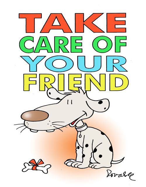 Take care of your friend.