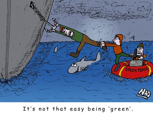 A Green Peace activist is dangling from a ship's anchor above a shark in the middle of the ocean - It's not that easy being green.