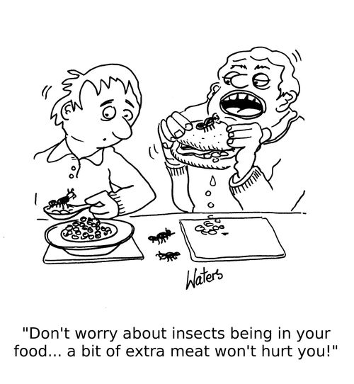 'Don't worry about insects being in your food... a bit of extra meat won't hurt you!'