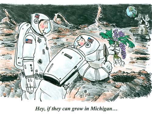 'Hey, if they can grow in Michigan...'