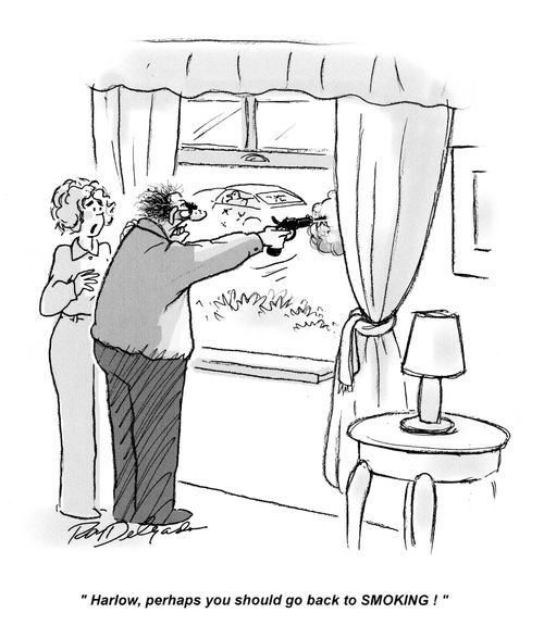 'Harlow, perhaps you should go back to SMOKING!'