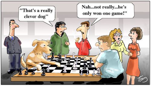 "Nah...not really...he's only won one game!" (Clever dog).