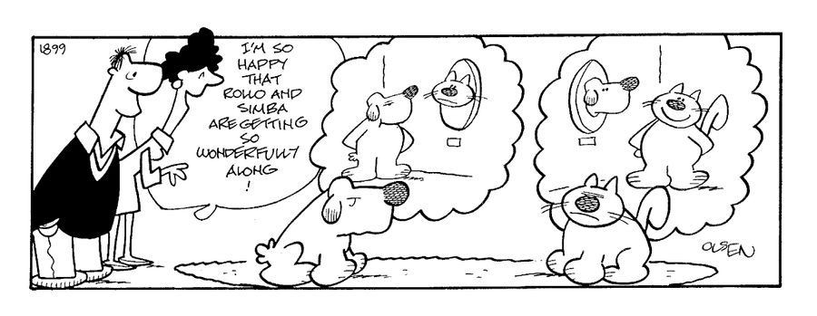 "I'm so happy that Rollo and Simba are getting so wonderfully along!"