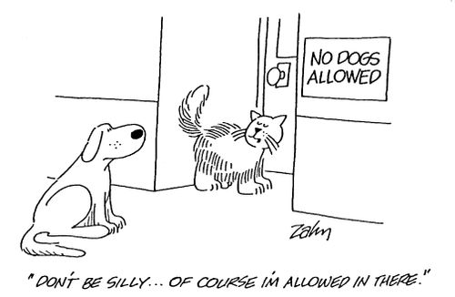 "Don't be silly...of course I'm allowed in here."