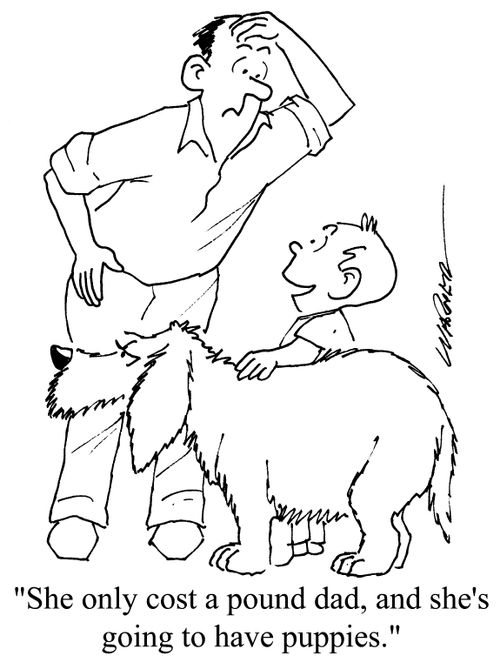 "She only cost a pound Dad, and she's going to have puppies."