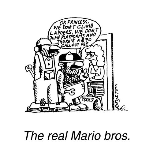 The Real Mario Brothers, "OK princess, we don't climb ladders, we don't jump platforms, and there's a $70 call-out fee"