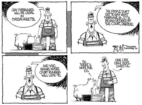 What will gay marriages lead to? - Farmer and pig hold hope.
