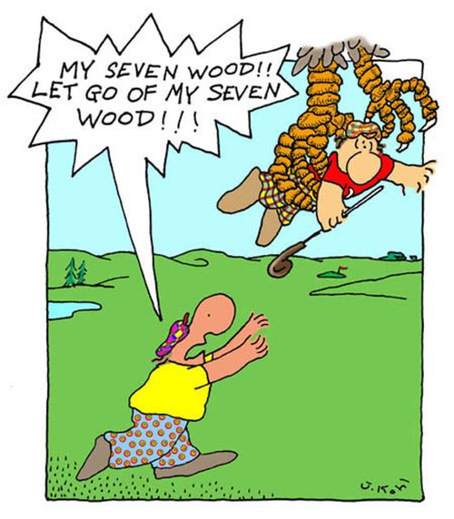 'Let Go of My Seven Wood!'