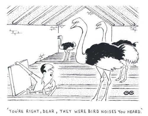 'You're right, dear, they were bird noises you heard.'