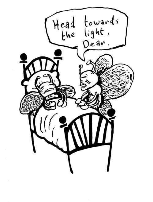 'Head towards the light, Dear.'